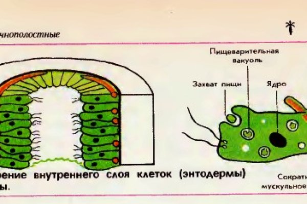 Зеркало на кракен