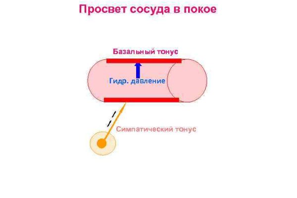 Что такое кракен сайт