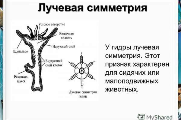 Darknet ссылки